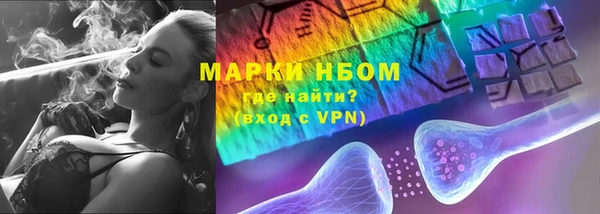 амф Новокубанск