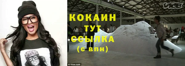 шишки Абинск