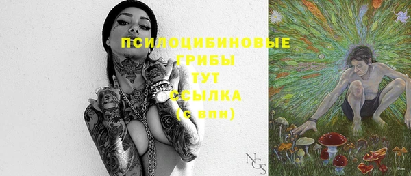шишки Абинск