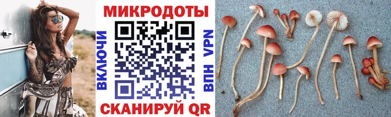 как найти закладки  Полярный  Галлюциногенные грибы GOLDEN TEACHER 
