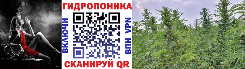 Конопля Bruce Banner  дарнет шоп  Полярный 